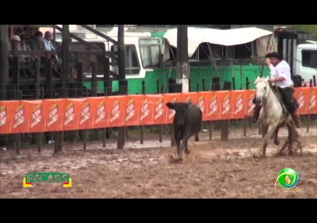 Fecars 2013 - Laço Pai e Filho - 12ª RT