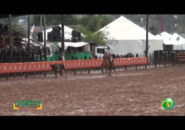 Fecars 2013 - Laço Pai e Filho - 5ª RT