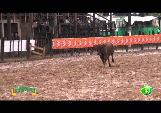 Fecars 2013 - Laço Pai e Filho - 2ª RT