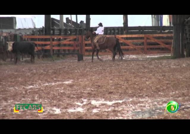 Fecars 2013 - Laço Pai e Filho - 1ª RT