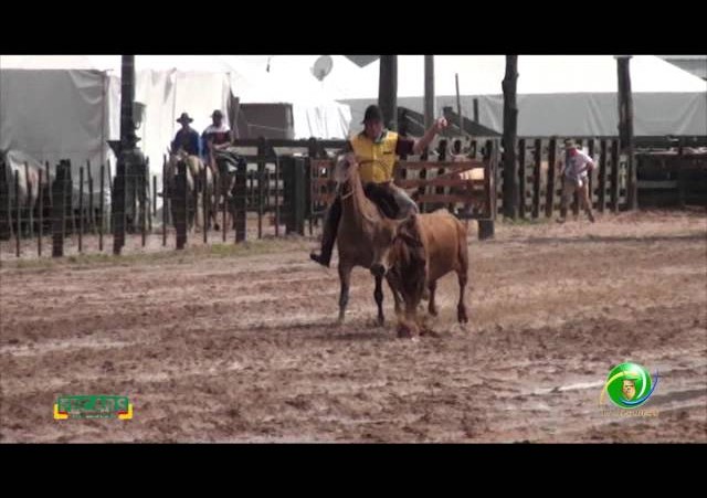 Fecars 2013 - Laço Vaqueano - 29ª RT