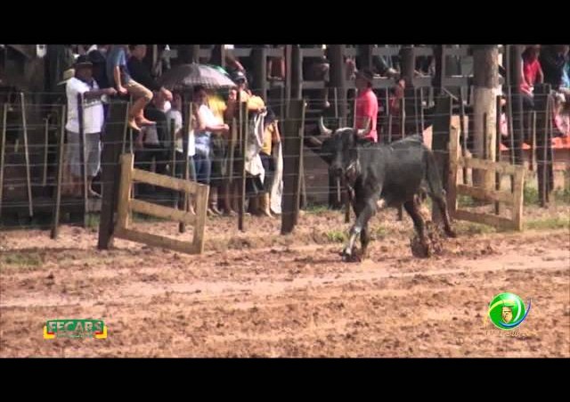 Fecars 2013 - Laço Vaqueano - 27ª RT