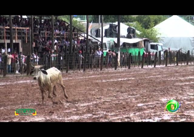 Fecars 2013 - Laço Vaqueano - 26ª RT