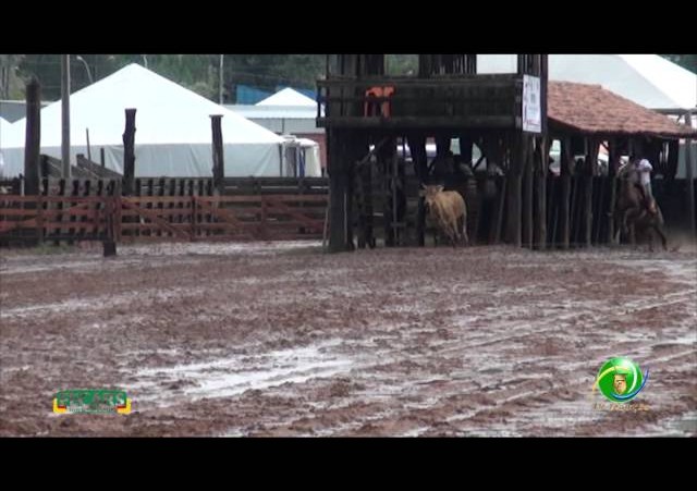 Fecars 2013 - Laço Vaqueano - 25ª RT