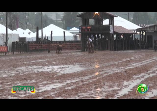 Fecars 2013 - Laço Coordenador Regional - 8ª RT - Sexta