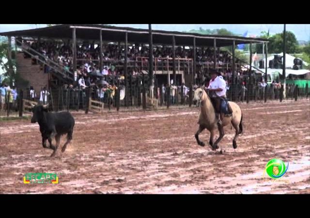 Fecars 2013 - Laço Vaqueano - 23ª RT