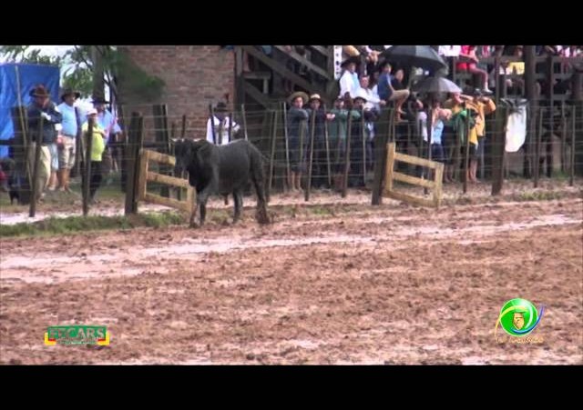 Fecars 2013 - Laço Vaqueano - 22ª RT