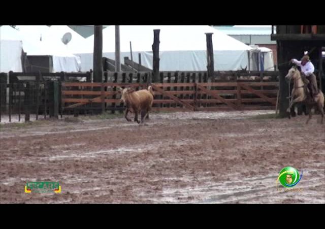 Fecars 2013 - Laço Vaqueano - 19ª RT