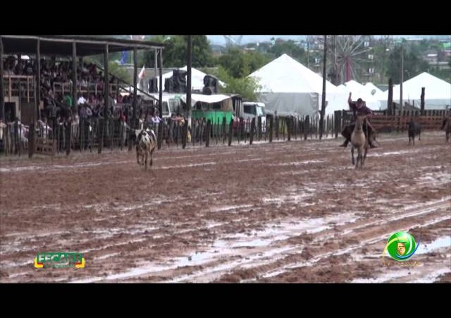 Fecars 2013 - Laço Vaqueano - 11ª RT