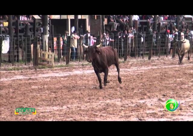 Fecars 2013 - Laço Vaqueano - 10ª RT