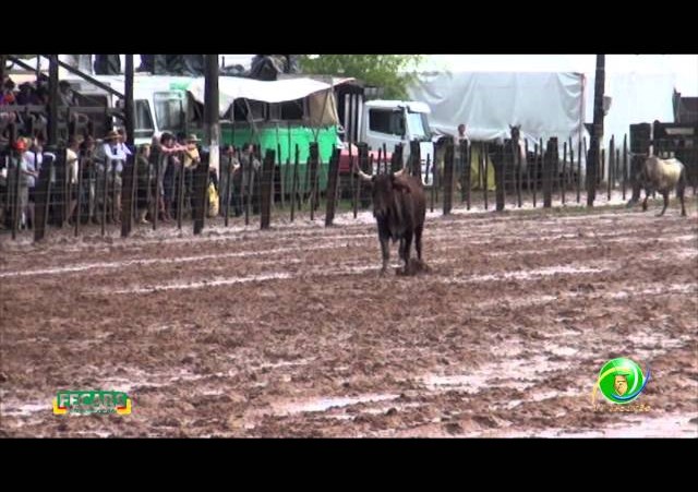 Fecars 2013 - Laço Vaqueano - 9ª RT