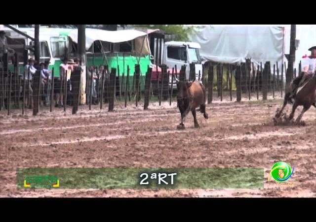 Fecars 2013 - Laço Vaqueano - 2ª RT