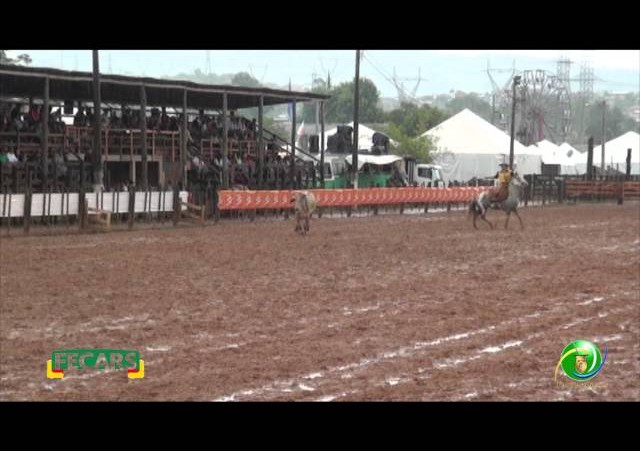 Fecars 2013 - Laço Irmãos - 29ª RT