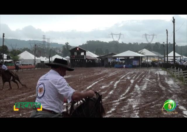 Fecars 2013 - Laço Irmãos - 24ª RT