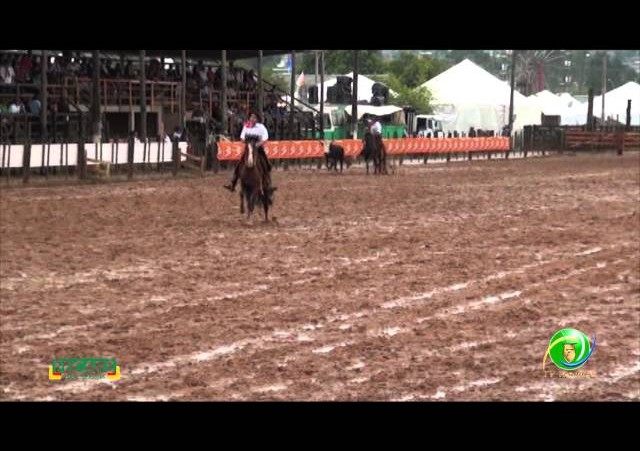 Fecars 2013 - Laço Guri/Guria - 7ª RT - Sexta