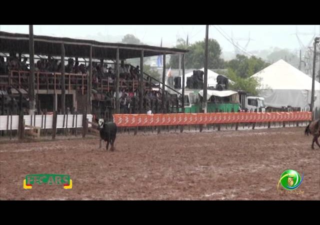 Fecars 2013 - Laço Irmãos - 15ª RT