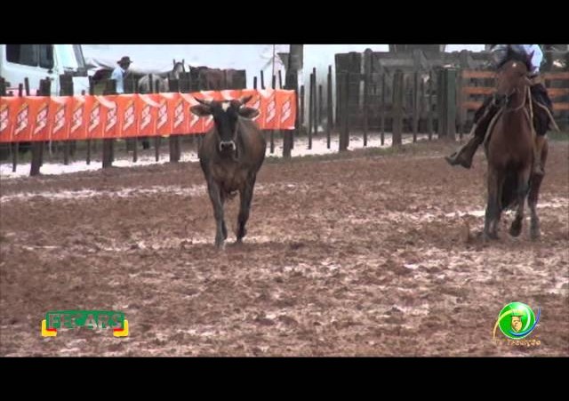 Fecars 2013 - Laço Irmãos - 13ª RT