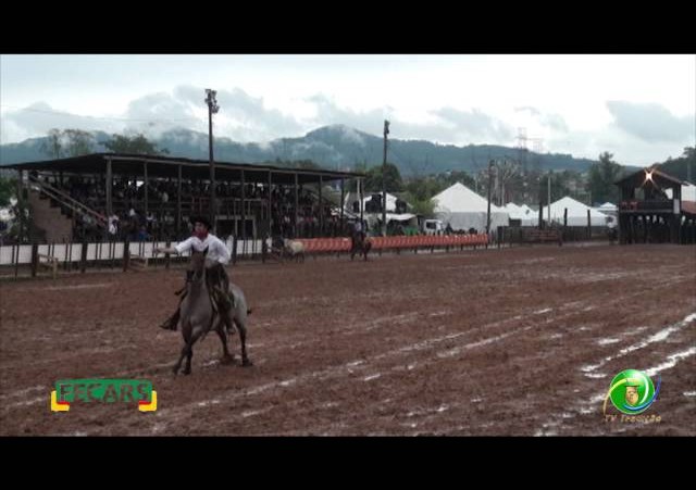 Fecars 2013 - Laço Irmãos - 12ª RT