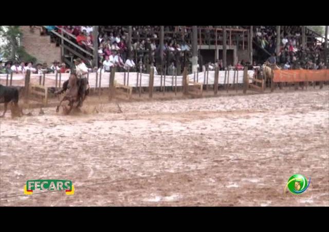 Fecars 2013 - Laço Seleção - 25ª RT - Sábado