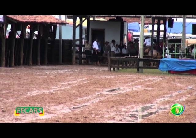 Fecars 2013 - Laço Seleção - 24ª RT - Sábado