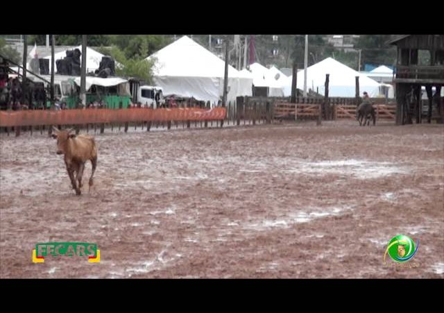 Fecars 2013 - Laço Seleção - 21ª RT - Sábado