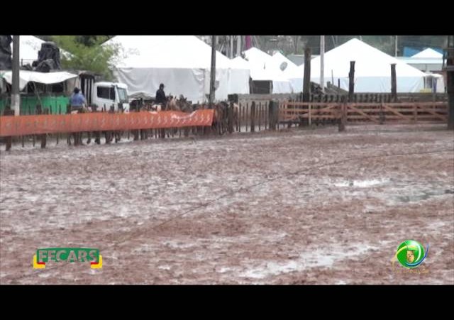 Fecars 2013 - Laço Seleção - 18ª RT - Sábado