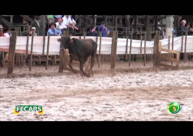 Fecars 2013 - Laço Seleção - 15ª RT - Sábado