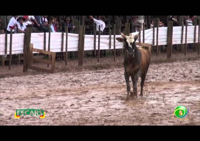 Fecars 2013 - Laço Seleção - 12ª RT - Sábado