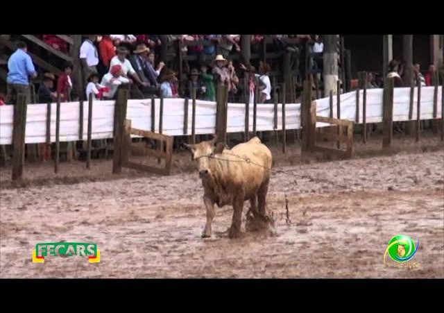 Fecars 2013 - Laço Seleção - 11ª RT - Sábado