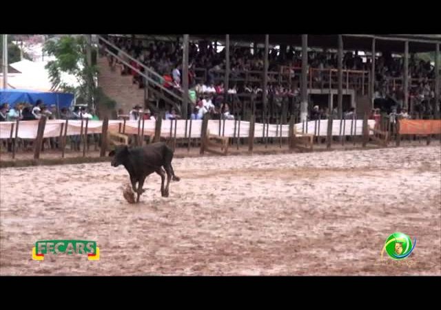 Fecars 2013 - Laço Seleção - 10ª RT - Sábado