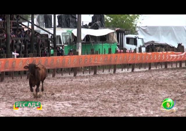 Fecars 2013 - Laço Seleção - 9ª RT - Sábado