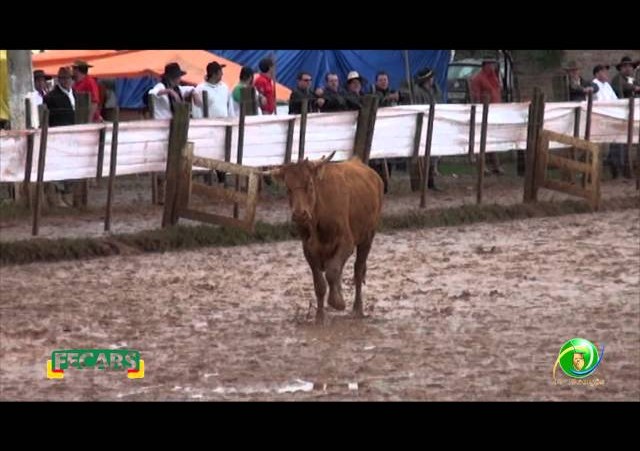Fecars 2013 - Laço Seleção - 7ª RT - Sábado