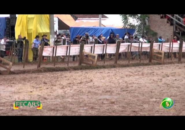 Fecars 2013 - Laço Seleção - 6ª RT - Sábado