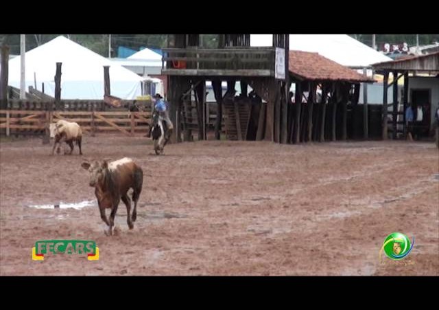 Fecars 2013 - Laço Seleção - 5ª RT - Sábado