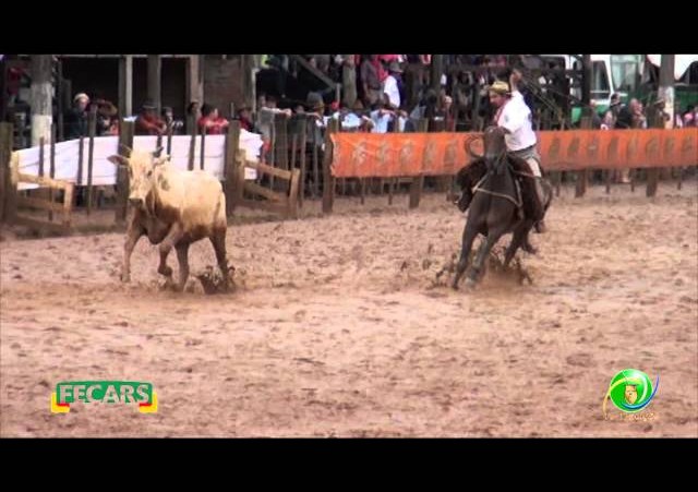 Fecars 2013 - Laço Seleção - 4ª RT - Sábado