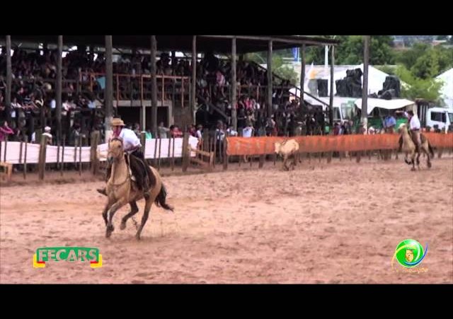 Fecars 2013 - Laço Seleção - 3ª RT - Sábado