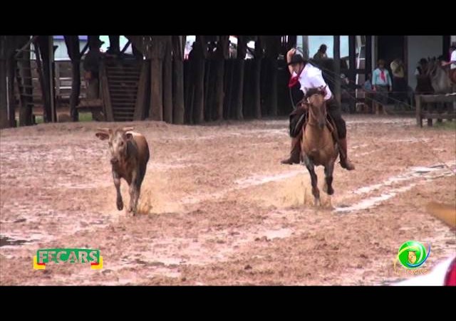 Fecars 2013 - Laço Seleção - 2ª RT - Sábado