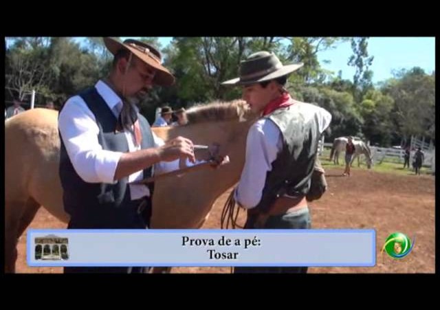 25ª Entrevero (Guri) -Gregório Correia Junior - 4ªRT - Campeira