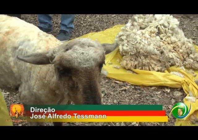 TURISMO DE GALPÃO - CAMINHADA GUIADA