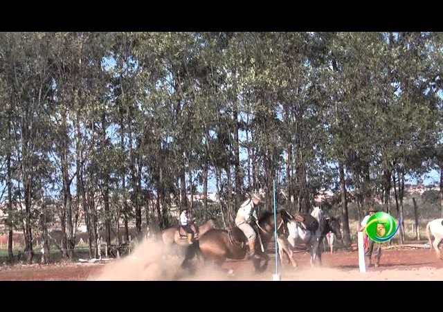 16º Rodeio Nacional de Campeões - Prova de Rédeas Cronômetro - Prenda Adulta