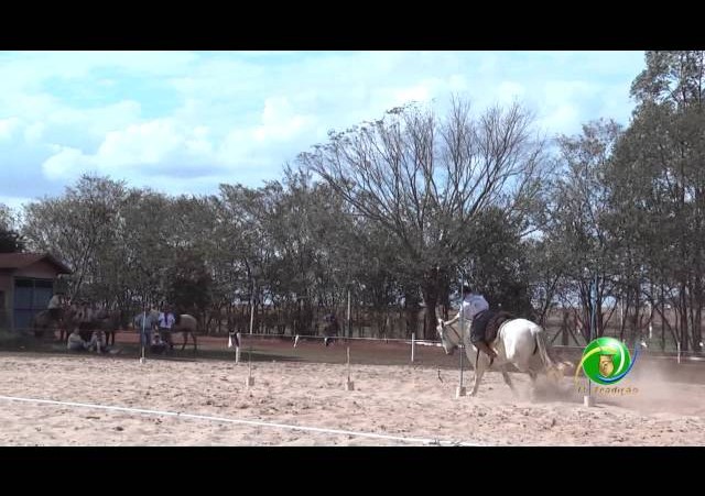 16º Rodeio Nacional de Campeões - Prova de Rédeas Cronômetro - Piá
