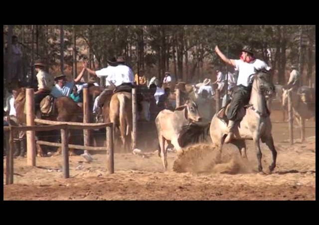 16º Rodeio Nacional - Laço Equipe Peão