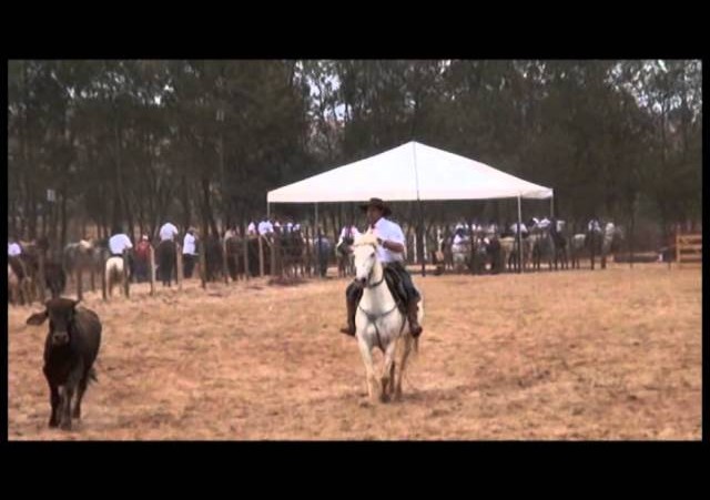 16º Rodeio Nacional - Laço Dupla Pai e Filho