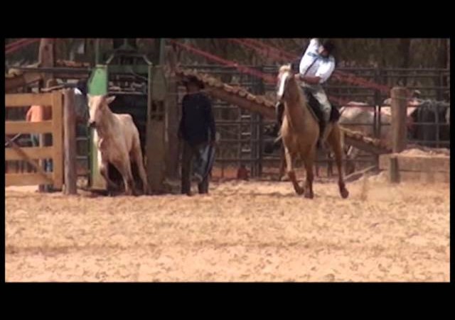 16º Rodeio Nacional - Laço Dupla de Rapaz