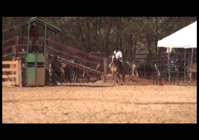 16º Rodeio Nacional - Laço Patrão
