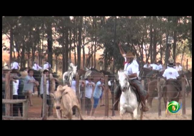 16º Rodeio Nacional - Laço Veterano