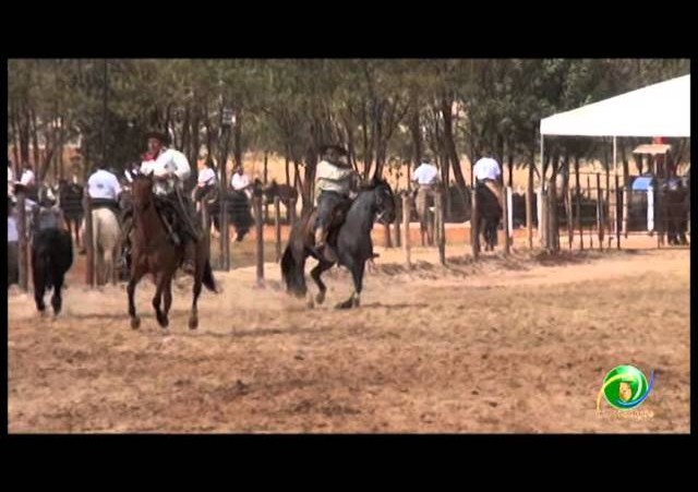 16º Rodeio Nacional - Laço Vaqueano
