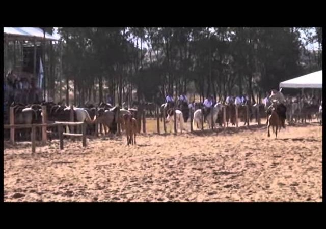 16º Rodeio Nacional - Laço Autoridade