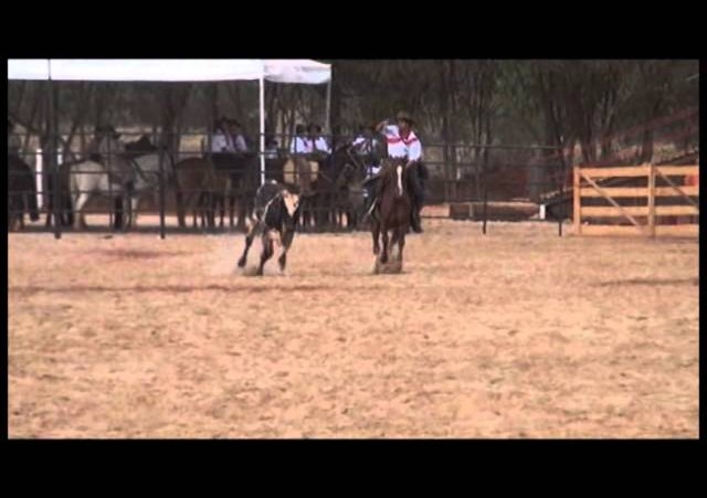 16º Rodeio Nacional - Equipe Rapaz