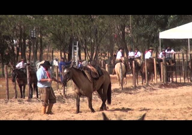 16º Rodeio de Campeões - Laço Dupla de Irmãos